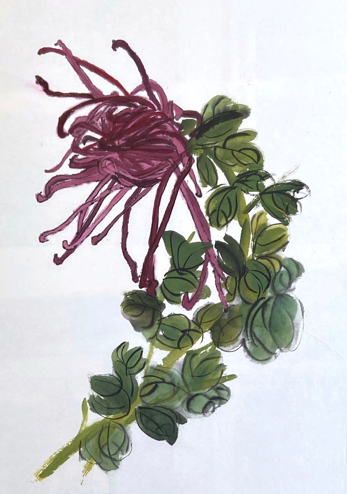 flowers