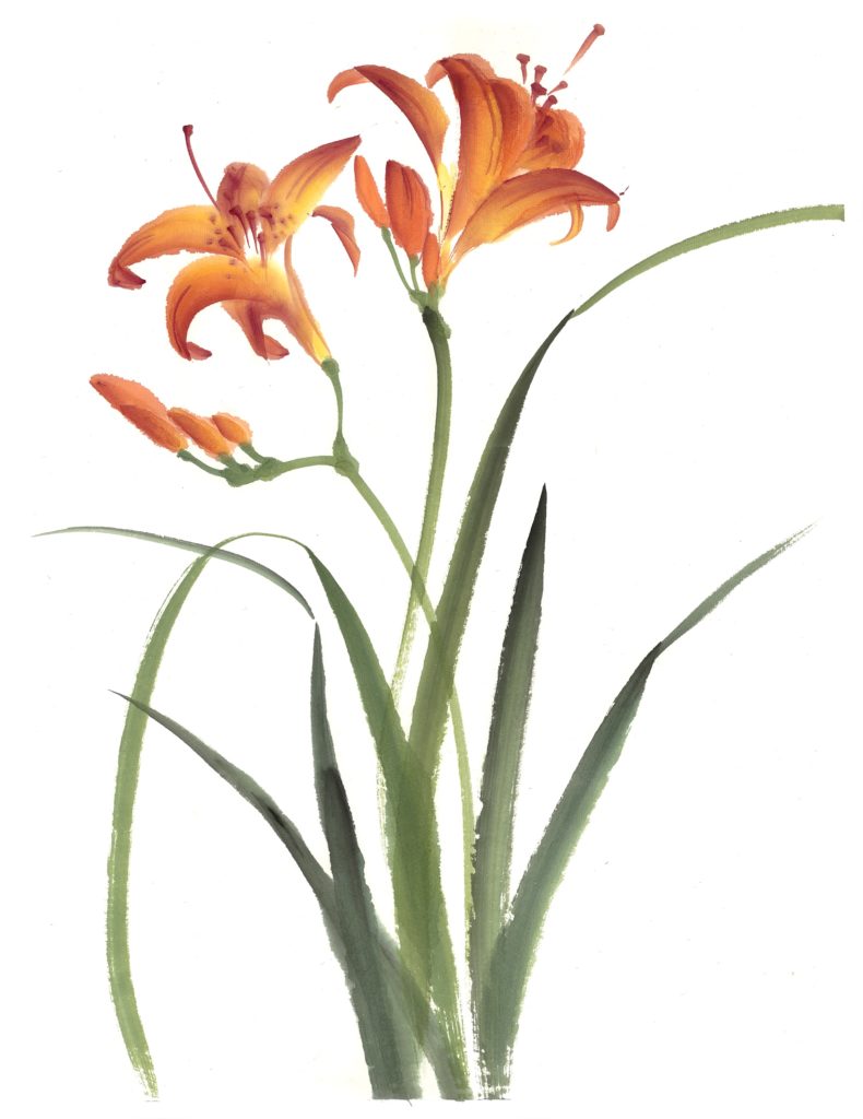 flowers
